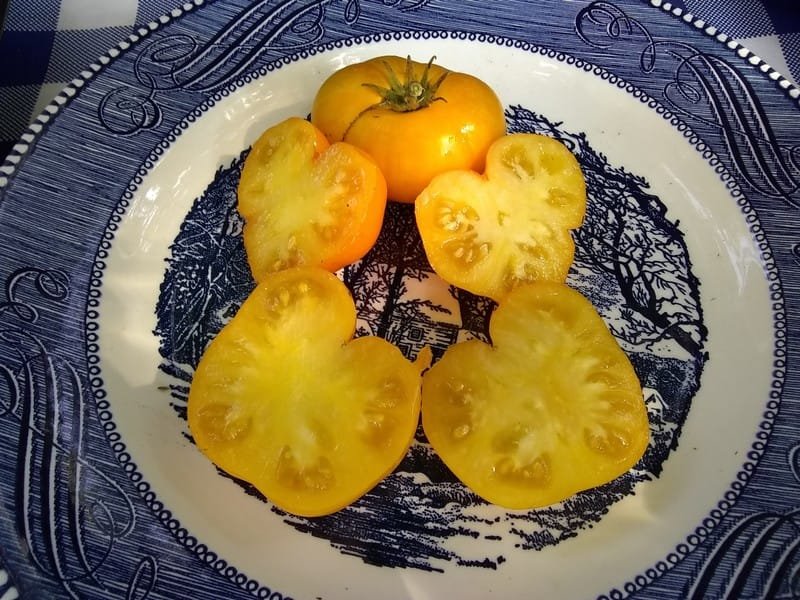 Rumplestiltskin Tomato - Bounty Hunter Seeds