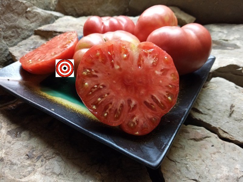 Brandywine Pink TomatoHeirloom TomatoesBounty Hunter Seeds