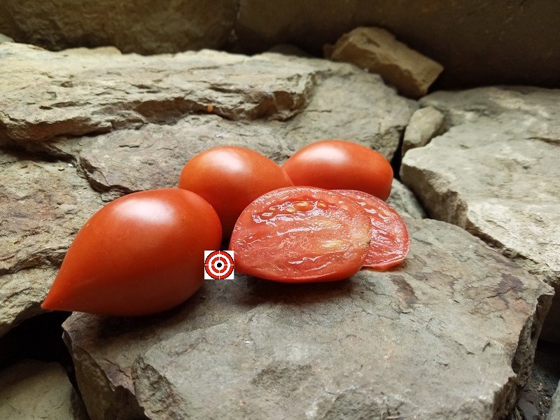 Joe's Plum TomatoBounty Hunter SeedsRare Heirloom Tomatoes