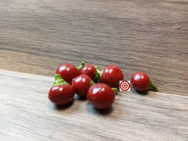 Satan's Kiss PepperBounty Hunter SeedsRare Pepper Seeeds