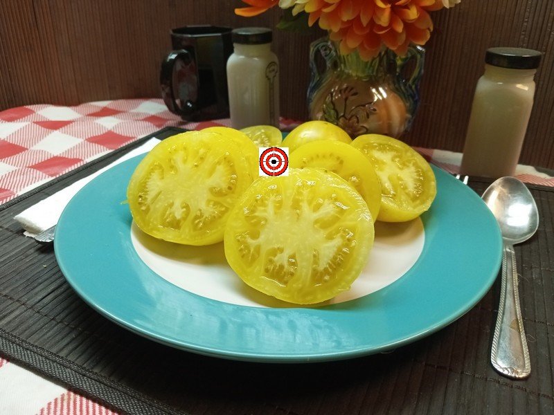 Spot Yellow TomatoBounty Hunter SeedsBrad Gates Tomatoes