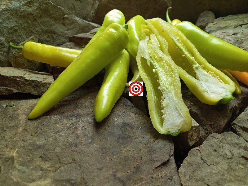 Sweet Banana PepperBounty Hunter SeedsHeirloom Peppers