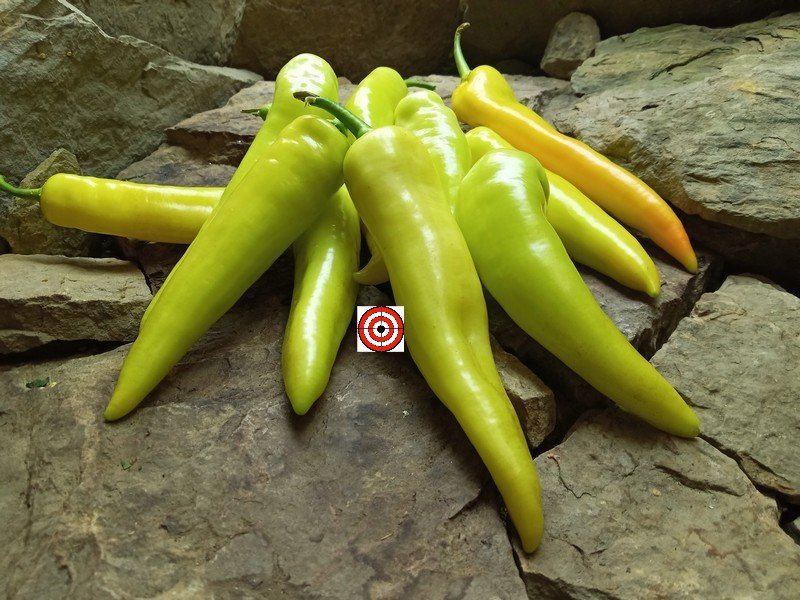 Sweet Banana PepperBounty Hunter SeedsHeirloom Peppers