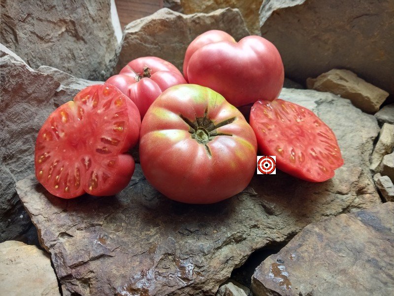 Large Beefsteak Tomatoes Brandywine Pink Tomato Seeds Available Here